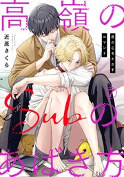 高嶺のSubのあばき方～君の心をとかすコマンド～