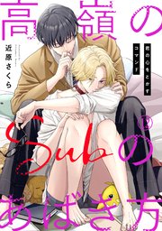 高嶺のSubのあばき方～君の心をとかすコマンド～高嶺のSubのあばき方～君の心をとかすコマンド～12