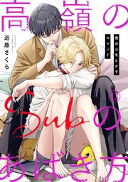 高嶺のSubのあばき方～君の心をとかすコマンド～高嶺のSubのあばき方～君の心をとかすコマンド～13