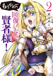 もうやめて回復しないで賢者様！ 2巻