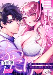 帰れないふたり【合冊版】【R-18版】