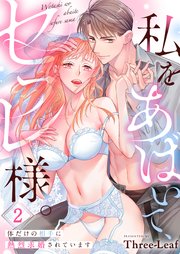私をあばいて、セフレ様。～体だけの相手に熱烈求婚されています～（2）