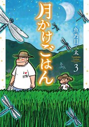 月かけごはん