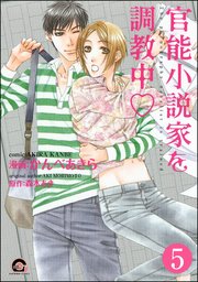 官能小説家を調教中v（分冊版）