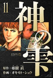 神の雫 愛蔵版 11