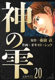 神の雫 愛蔵版 20