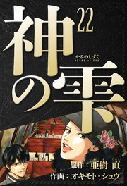 神の雫 愛蔵版 22