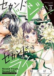 セカンドバージン・セカンドライフ～バツのち、セフ活～ 3