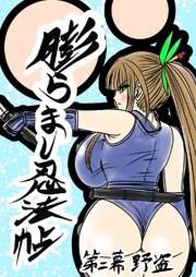 膨らまし忍法帖