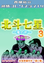 北斗七星3～嵐の前～＜特別版＞・青柳裕介純情コレクション14