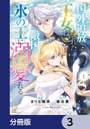 国外追放された王女は、敵国の氷の王に溺愛される【分冊版】 3