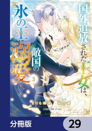 国外追放された王女は、敵国の氷の王に溺愛される【分冊版】　29