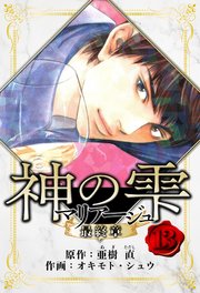 マリアージュ ～神の雫 最終章～ 愛蔵版 13