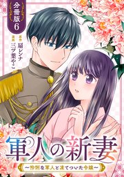 軍人の新妻～怜悧な軍人と凍てついた令嬢～【分冊版】