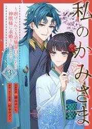 私のかみさま～虐げられても清廉潔白でいたら神獣様に求婚されました～ 3巻