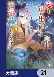 家を追い出されましたが、元気に暮らしています　～チートな魔法と前世知識で快適便利なセカンドライフ！～【分冊版】　21