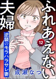 ふれあえない夫婦 逆襲のモラハラサレ妻（分冊版）
