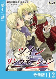 ツインリンカネーション【分冊版】１２
