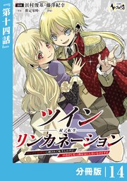 ツインリンカネーション【分冊版】１４