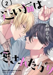 迷い猫は愛されたがり 第2話