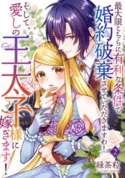最大限こちらに有利な条件で婚約破棄させていただきますわ！そして、愛しの王太子様に嫁ぎます！