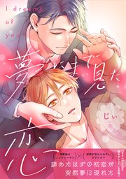 夢にまで見た恋【電子単行本版】【シーモア限定特典付き】