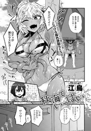 秋海でいっぱい