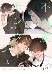 不可逆モンタージュ