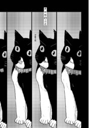 チロルのこと