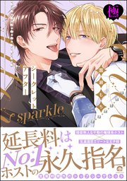 シークレットアフター sparkle【極】 【電子限定かきおろし漫画付】