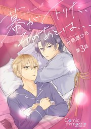 幕が下りた、そのあとは… 第3話【単話版】