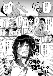 好奇心は猫をも…？