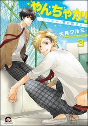 やんちゃか！─ヤンキー、罠に嵌まる─（分冊版） 【第3話】