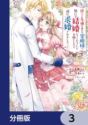 捨てられ令嬢が憧れの宰相様に勢いで結婚してくださいとお願いしたら逆に求婚されました【分冊版】 3