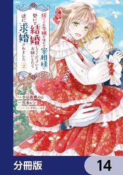 捨てられ令嬢が憧れの宰相様に勢いで結婚してくださいとお願いしたら逆に求婚されました【分冊版】　14