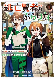 逃亡賢者(候補)のぶらり旅 ～召喚されましたが、逃げ出して安寧の地探しを楽しみます～