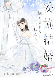妥協結婚 満たされない私たち（3）