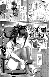 いたずら猫は遊びたい！