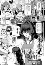 秘蜜の裏研修