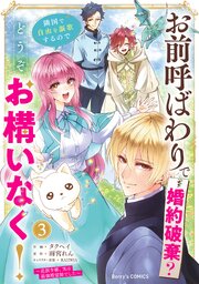 お前呼ばわりで婚約破棄？隣国で自由を謳歌するのでどうぞお構いなく！～追放令嬢、実は最強精霊師でした～お前呼ばわりで婚約破棄？隣国で自由を謳歌するのでどうぞお構いなく！～追放令嬢、実は最強精霊師でした～3巻