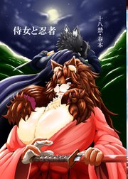 侍女と忍者