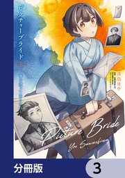 ピクチャーブライド【分冊版】 3