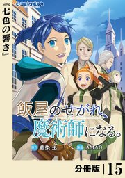 飯屋のせがれ、魔術師になる。【分冊版】１５