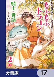 お疲れアラサーは異世界でもふもふドラゴンと騎士の世話をしています【分冊版】　17