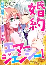 婚約エマージェンシー！～結婚前夜に見知らぬイケメンに求婚されました！？
