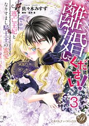 離婚してください！～逃亡王妃となりすまし騎士王の蜜愛～【分冊版】3