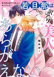 若旦那は訳アリ美人にあらがえない