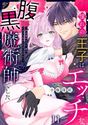 憧れの王子は、エッチな腹黒魔術師でした～閨指導係なのに、彼のミダラな魔法にかないません！～ 11巻