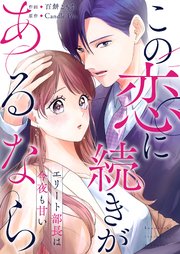 この恋に続きがあるなら エリート部長は今夜も甘い