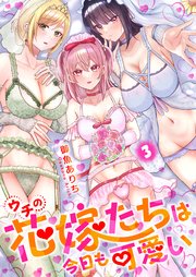 ウチの花嫁たちは今日も可愛い【修正版】